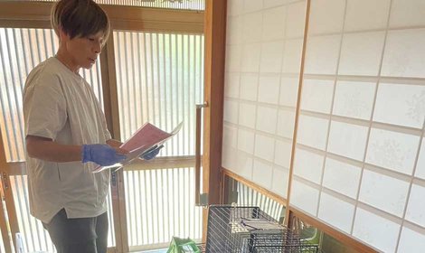 再び熊本の被災地へ　増える捜索依頼に対応