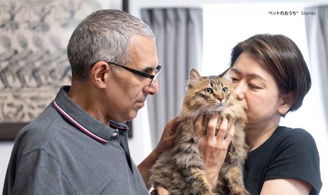 リハビリを支えてくれるセラピーキャット