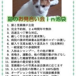 全匹シャンプー済！信頼度世界№１
