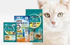 キャットフードで支える