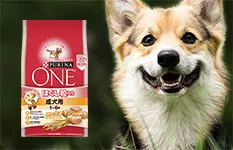 ドッグフードで支える