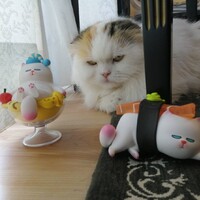 もも