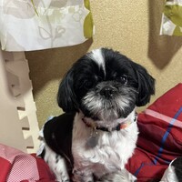 みかん