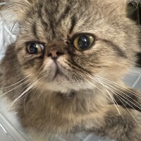 ベル