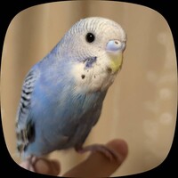 ずーちゃん