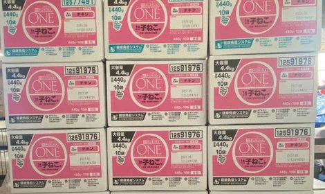 【4月】被災地の猫たちにキャットフード約200kgを支援しました。